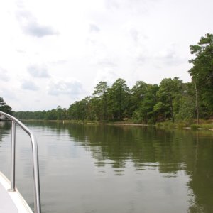 DSC 0062