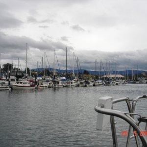 C-DORYS, TOMCATS & TUGS filled the dock at Bellingham