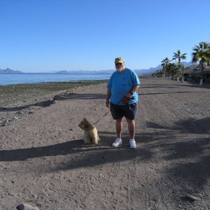 Ike the Wonderdoodle loves Baja!
