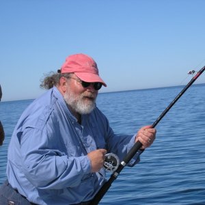 Fighting a Yellowtail.