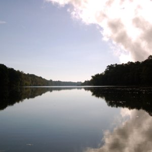 Power Plant Steam Off