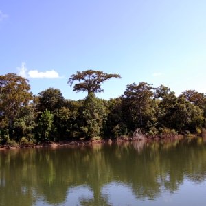 Beautiful Landscapes
