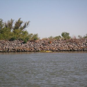 IMGP0289