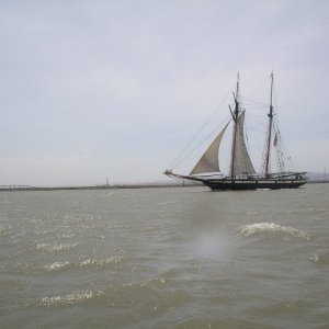 sailing ship seen on the way to the duck club