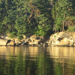 Sucia Island shoreline