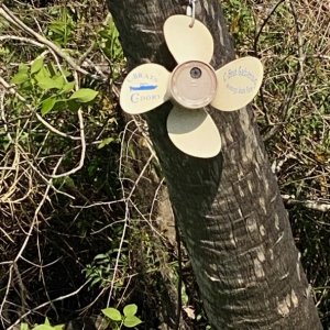 Spotted in the wild on Blue Creek! The last storm must have blown away any camouflage because it was out in the open 😂
