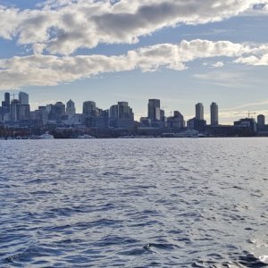 Media 'Beautiful Seattle Skyline from Lake Union' in album 'New Suzuki DF90A'