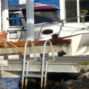 Hidden TomCat among houseboats