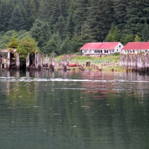 Another view of cannery ruins