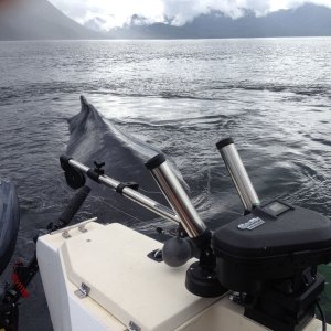 IMG 0862