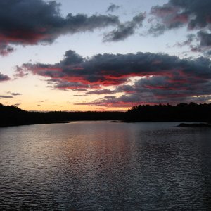 IMG 2728