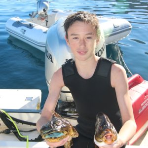 Dinner Time Cabezon and Perch