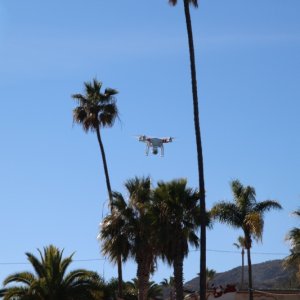 A drone visitor while in Avalon