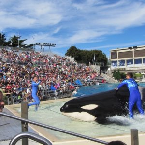 Sea World Cali