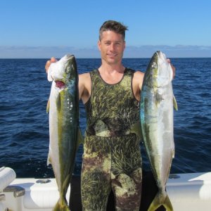 Yellow Tail San Clement Island Area