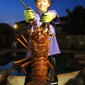 IMG 0871