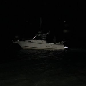 IMG 0042