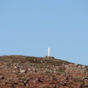 IMG 0708