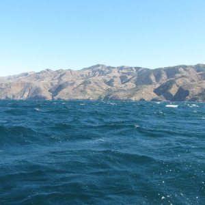 IMG 0724