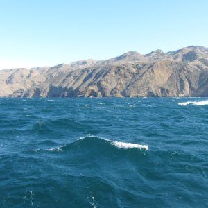 IMG 0730