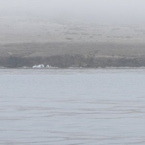 IMG 0799