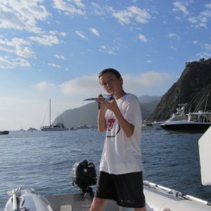 IMG 0529