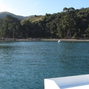 IMG 0618