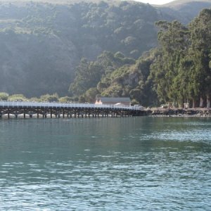 IMG 0619
