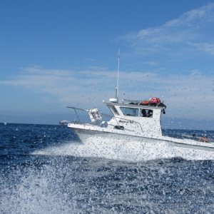 IMG 0665