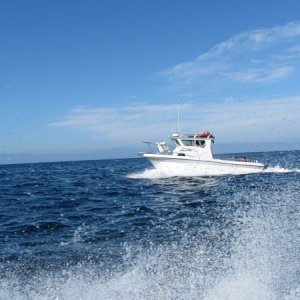 IMG 0668