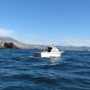 IMG 0671