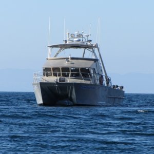 IMG 0689
