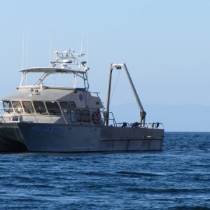 IMG 0690