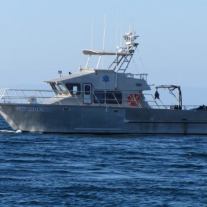 IMG 0691