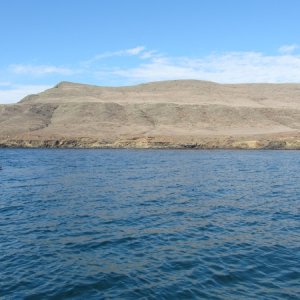 IMG 0678