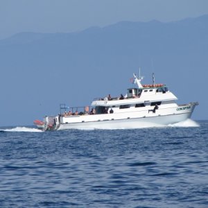 Conception Dive Boat