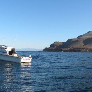 IMG 0706