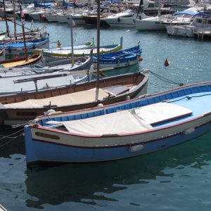 IMG 0476