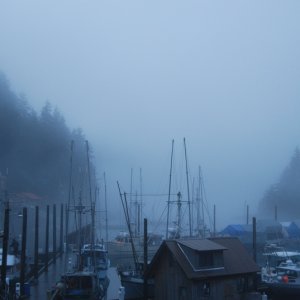 a bit of fog in the harbor
