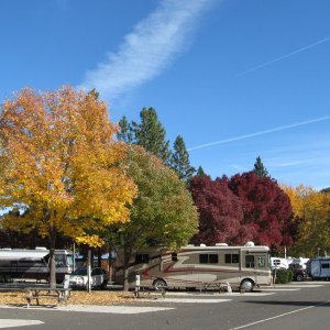 Shady Cove rv on Rogue River gorgeous spot right on the river