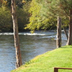 Rogue River in a quiet spot