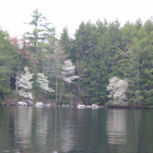 Media '' in album 'The "dories" awaiting the start of a Winnipesaukee cruise at the Y Landing Marina.'