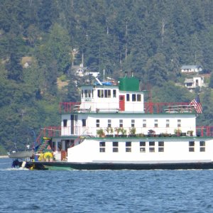 An old ferry made into a house boat? Or river boat with paddle wheel removed?  It was heading south at about 2 kts under what sounded like 2 stroke outboard power, although I couldn't spot the source of the engine noise.