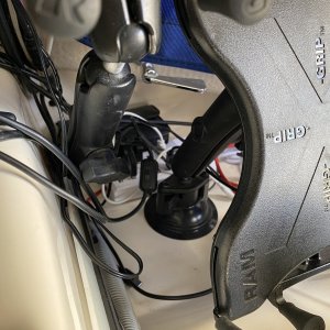 IMG 4597