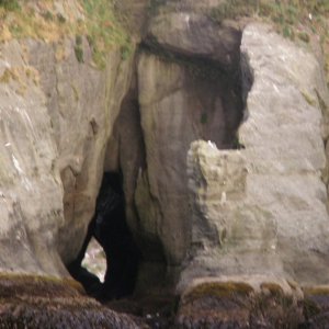 Arch at Tatoosh Island 8-11-07
