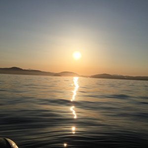IMG 0739