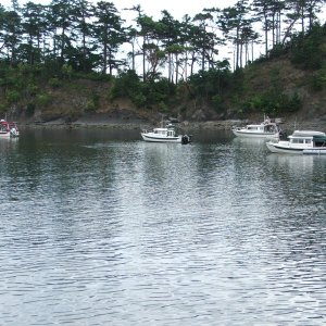 C-Dorys - Sucia Island  2011