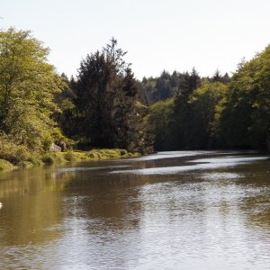 This is the Little Hoquiam, which splits off of the Hoquiam a few miles up.  Snag on port!