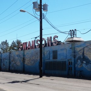And the landing is just behind Swanson's grocery, so what's not to like?