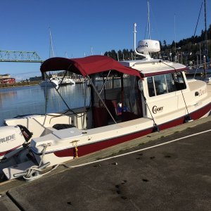 Media 'Garmin Fantom 18 radar, 6" strut, 1W LED anchor light' in album 'Garmin Echomap (left), 742XS (right)'
